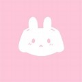 Discord App Icon PFP Bunny