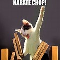 Funny Karate