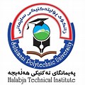 Technical Institute Logo