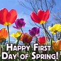 Happy First Day of Spring Colorful Flowers