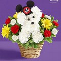 Mickey Mouse Dog Bouquet