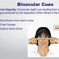 Binocular Cues