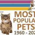 Most Popular Pets in Australia Top Four