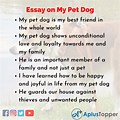My Pet Dog Essay