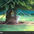Palm Tree with Bunnies and Chicks