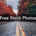 Stock Images