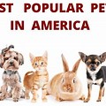 The Most Popular Pets in America Is