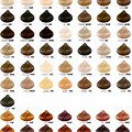 Brown Hair Color Chart