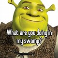 You Doing My Swamp