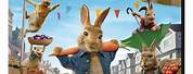 Peter Rabbit 2 UK DVD