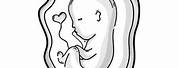 Unborn Baby Drawing