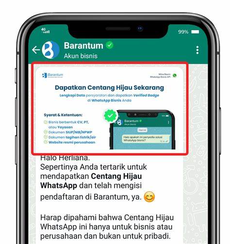 Informasi Otomatis WhatsApp Bisnis Online