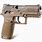 Army Sig Sauer M18