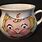 Campbell Soup Cups Collectible