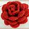 Crochet Rose Patterns for Beginners