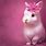 Cute Bunny Desktop Wallpapers