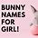 Rabbit Names Girl