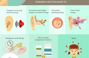 penyakit telinga