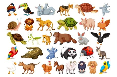 nama-nama hewan dalam bahasa jepang