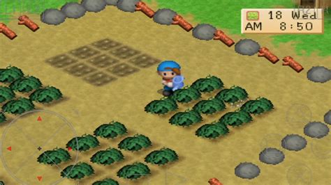 Tips and Tricks to Win Harvest Moon Back to Nature ePSXe