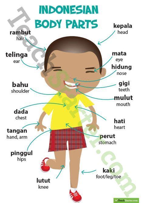 Vocabulary in classroom in Indonesia