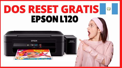 Epson L120 Reset