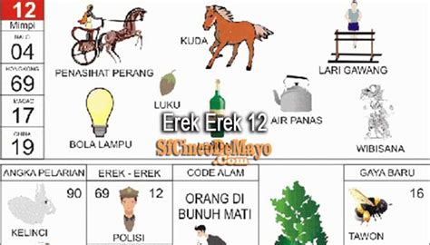 12 erek erek in Indonesia