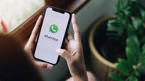 Aplikasi Pelacak Nomor WhatsApp