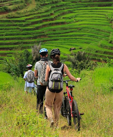 Bicycle Tour in Indonesia