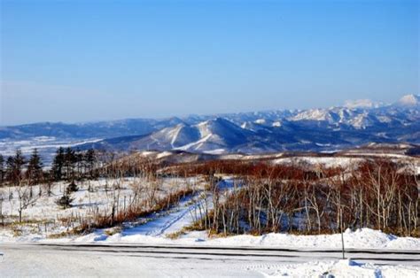 Bukit Dingin Hokkaido