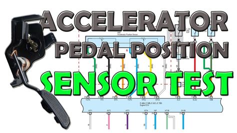 Throttle Pedal Position Sensor