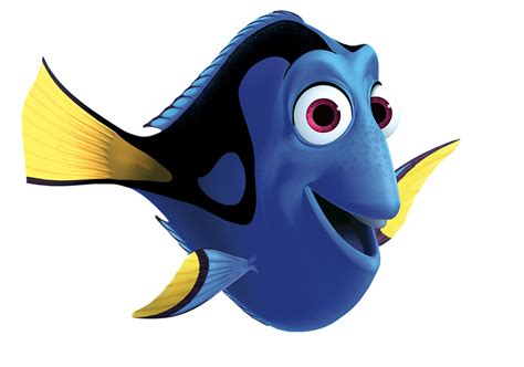 Dory's Appearance