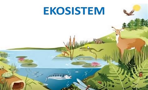 Ekosistem dan Hubungannya dengan Manusia
