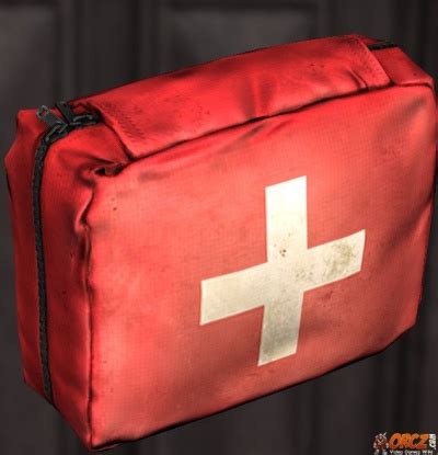 First Aid Kit in Dayz