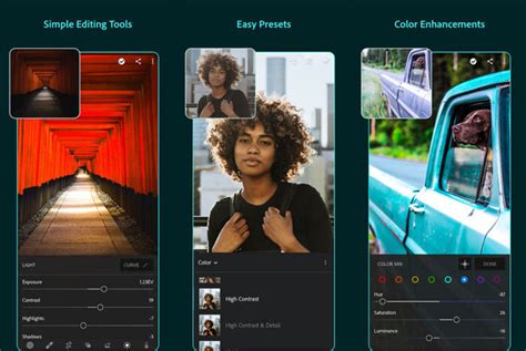 Download Lightroom APK Full Version for Android in Indonesia