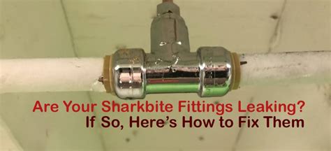 Fixing a Leaking SharkBite Fitting