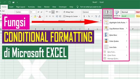 Fungsi Conditional Formatting pada Excel