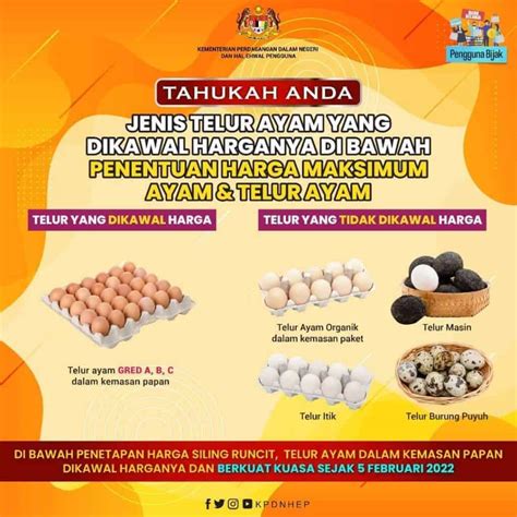 Harga Telur Ayam