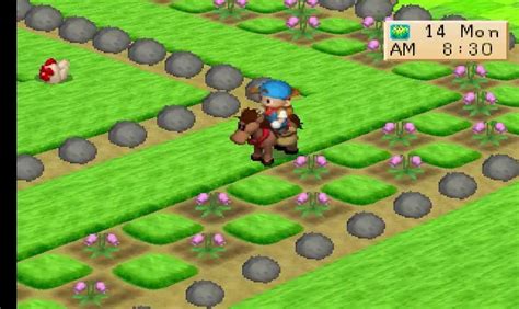 Fitur Terbaru Harvest Moon Back to Nature Android