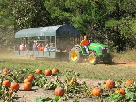 Hayride