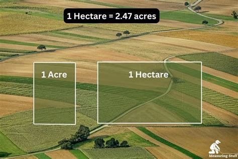 Hectare