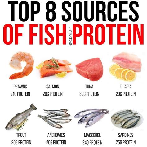 High in protein fish