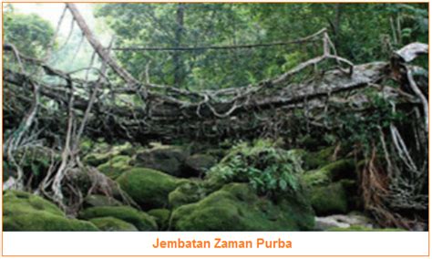Jembatan Tanah Pada Zaman Purba Indonesia