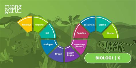 Istilah Biologi dan Artinya: Memahami Terminologi Penting dalam Ilmu Hayati
