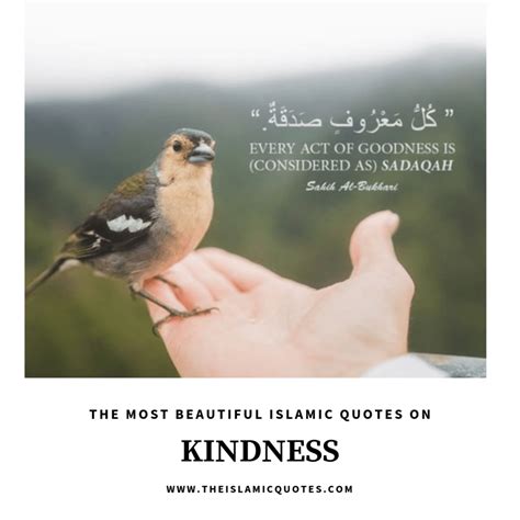 Kindness in Islam