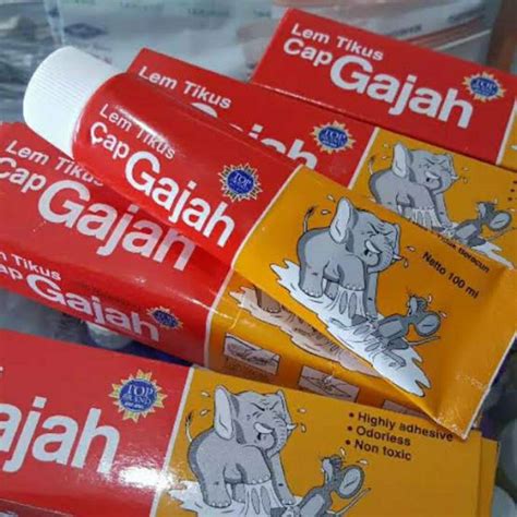 The Importance of Lem Gajah in Indonesia’s Wildlife Conservation