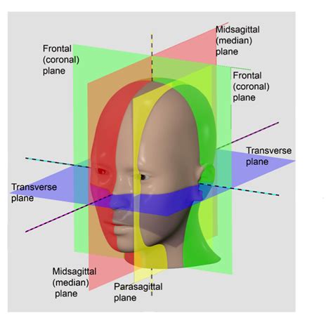 Measuring and Cutting the Frontal