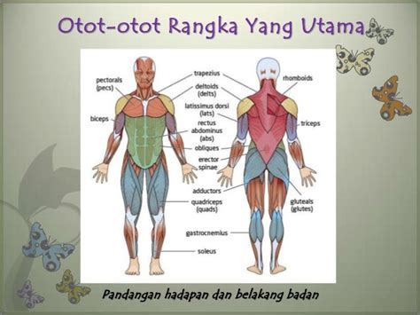 Menajamkan Otot-otot Tubuh dengan Teknik Shading Indonesia