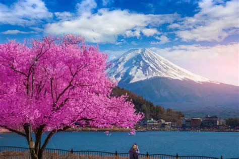 Gunung Fuji di Bulan April