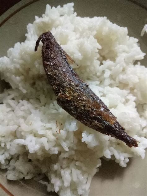 Nasi Putih dan Ikan Asin